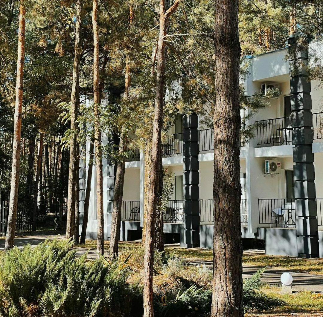 Sosnovel Hotel Voropayev Exterior foto
